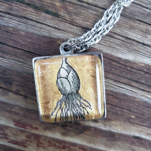 Plant Bud - Pip: Definition Necklace - Picture 9 of 12